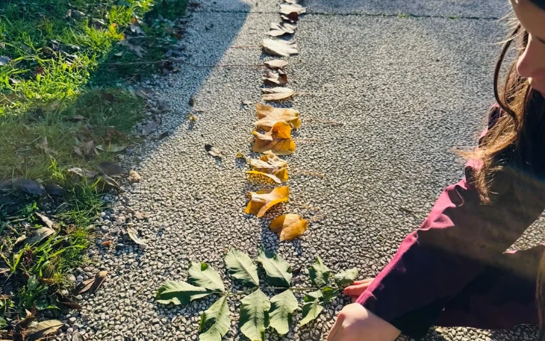 L&rsquo;écocitoyenneté à Schola Natura